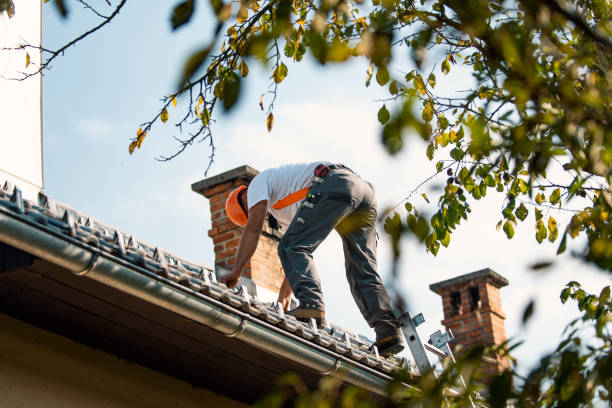 Best Roof Moss and Algae Removal  in New Paleste, IN