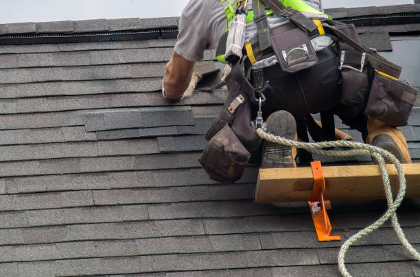 Best Emergency Roof Repair Services  in New Paleste, IN