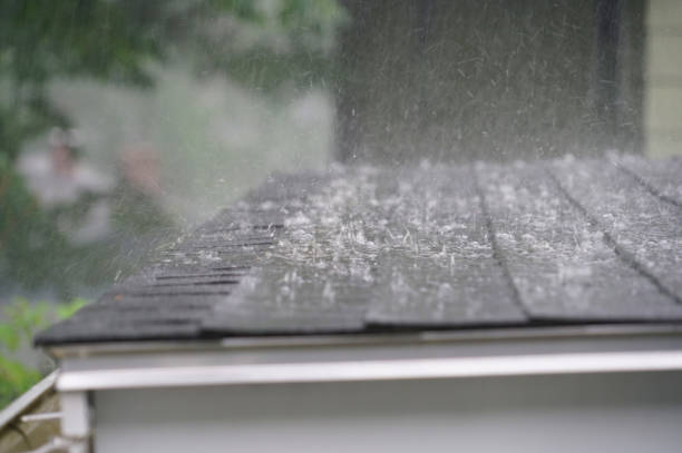 Best Roof Maintenance and Cleaning  in New Paleste, IN
