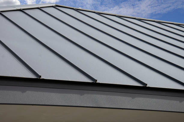 Best Roof Maintenance and Cleaning  in New Paleste, IN